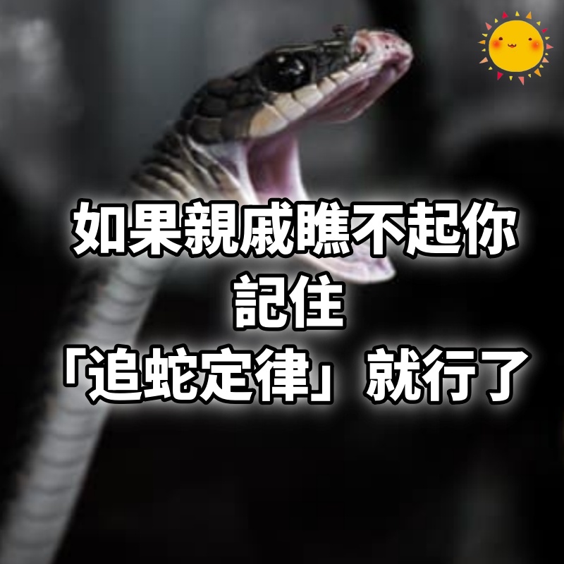 如果親戚瞧不起你,記住「追蛇定律」就行了