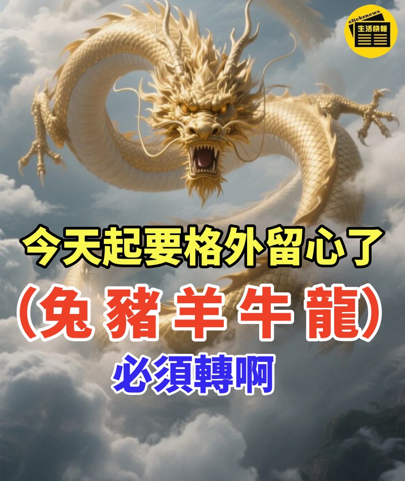 今天起要格外留心了,一個兔,一個豬,一個羊,一個牛,一個龍必須轉啊