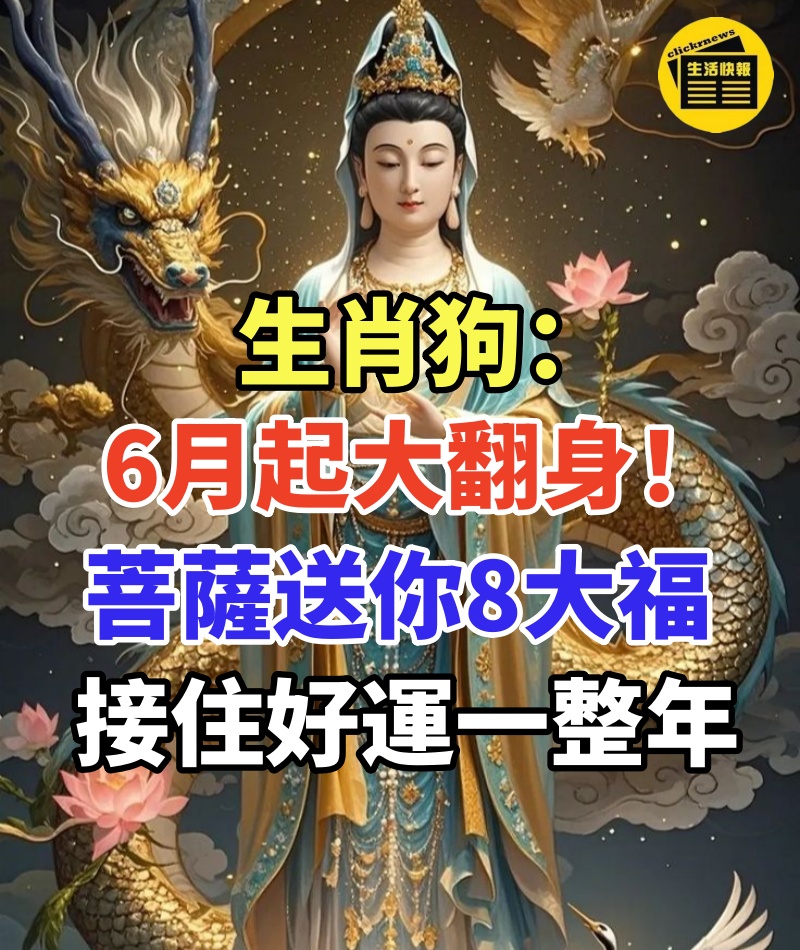 生肖狗:6月起大翻身!菩薩送你「8大福」接住好運一整年