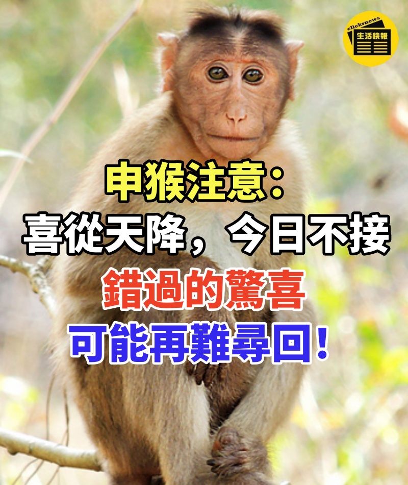 申猴注意:喜從天降,今日不接,錯過的驚喜可能再難尋回!