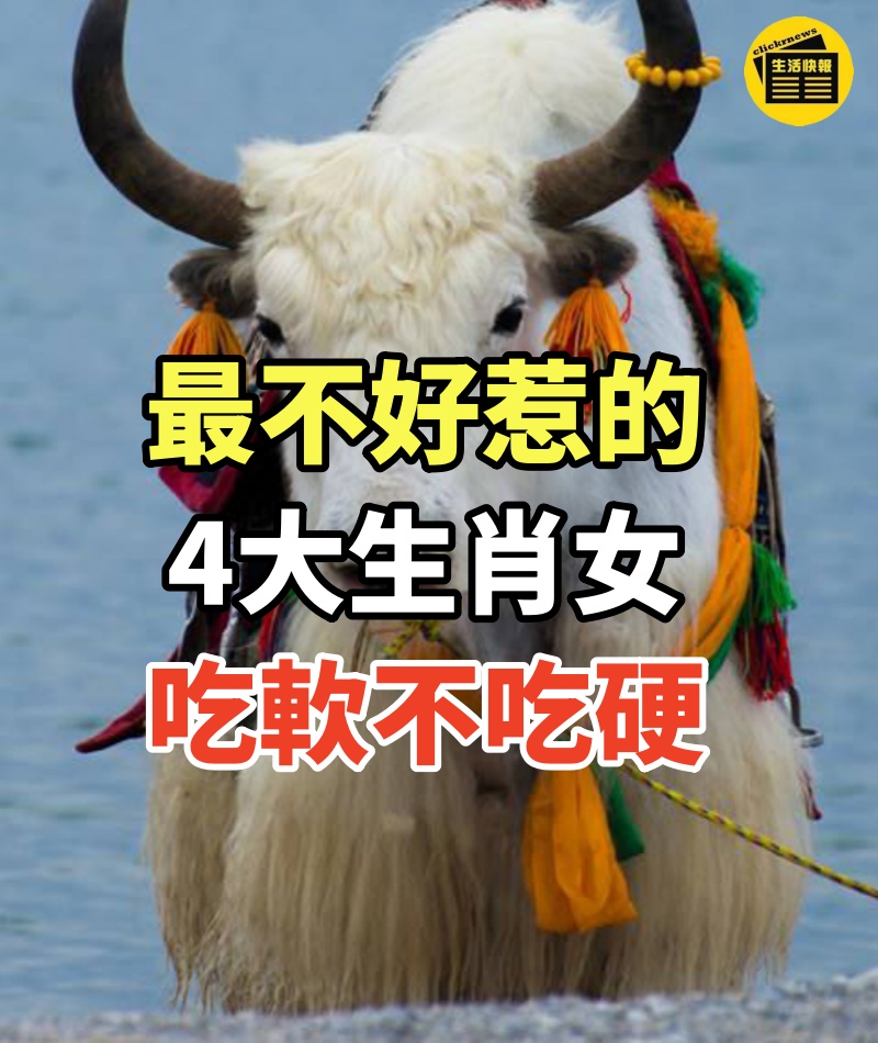 最不好惹的4大生肖女,有話當場講,有仇當面算,吃軟不吃硬