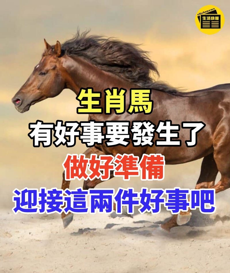 生肖馬:有好事要發生了,做好準備,迎接這兩件好事的到來吧!