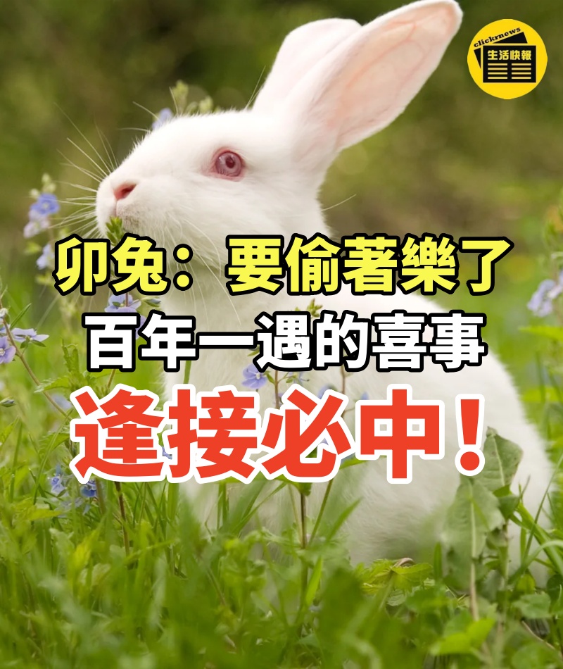 卯兔:要偷著樂了,百年一遇的喜事,逢接必中!