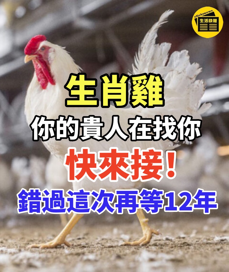 生肖雞,你的貴人在找你,再不來,他就要走了!錯過這次再等12年!