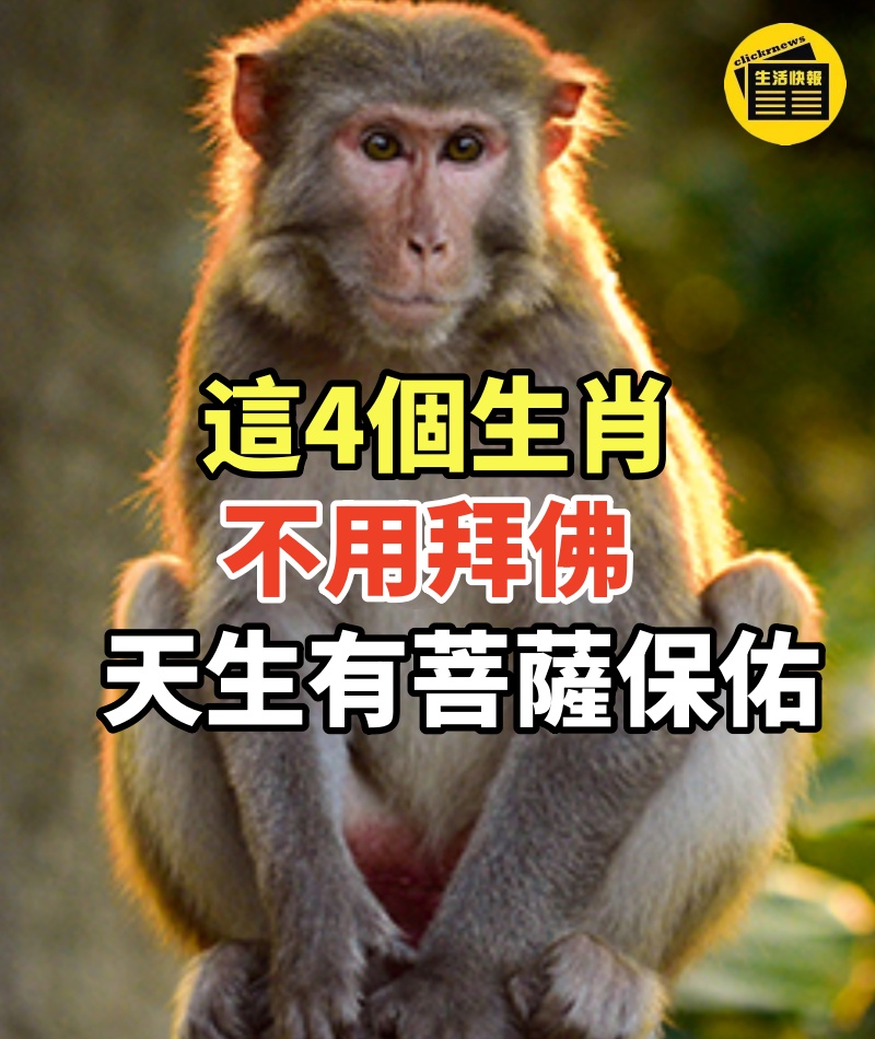這4個生肖不用拜佛,天生有菩薩保佑!尤其是第三個,一輩子無病無災!