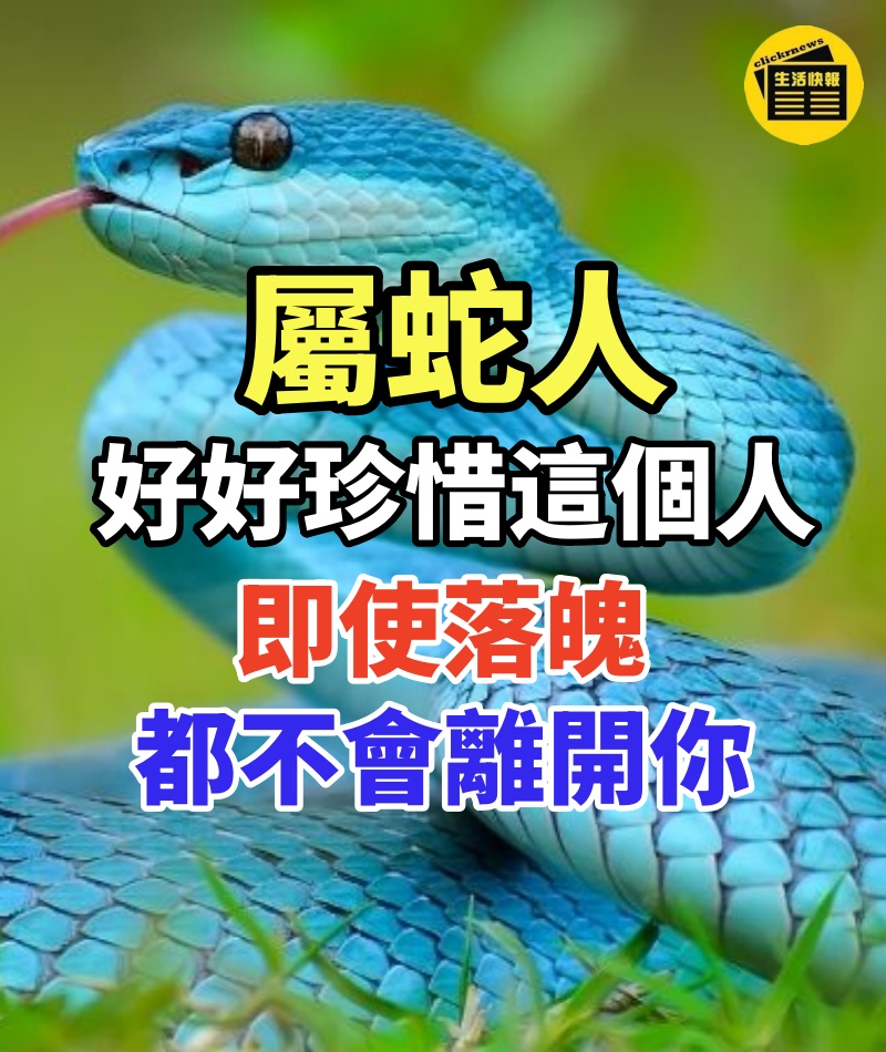 屬蛇人：好好珍惜這個人，即使落魄都不會離開你！