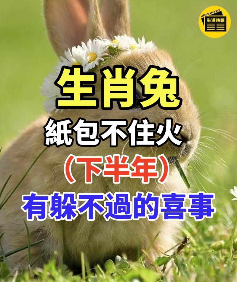 生肖兔:紙包不住火,好事來啦 (下半年)有躲不過的「喜事.」