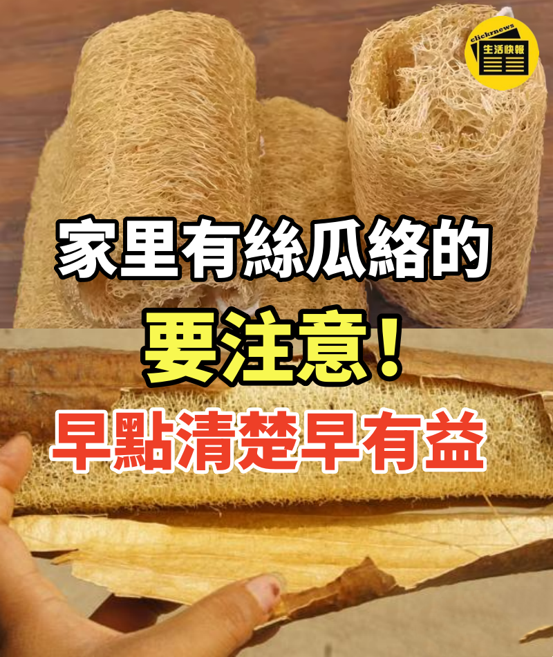 家里有絲瓜絡的要注意,真是厲害了,不是迷信,早點清楚早有益!