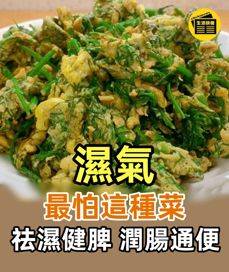 「濕氣」最怕這種菜,比吃蘿卜、白菜還養人,祛濕健脾,潤腸通便