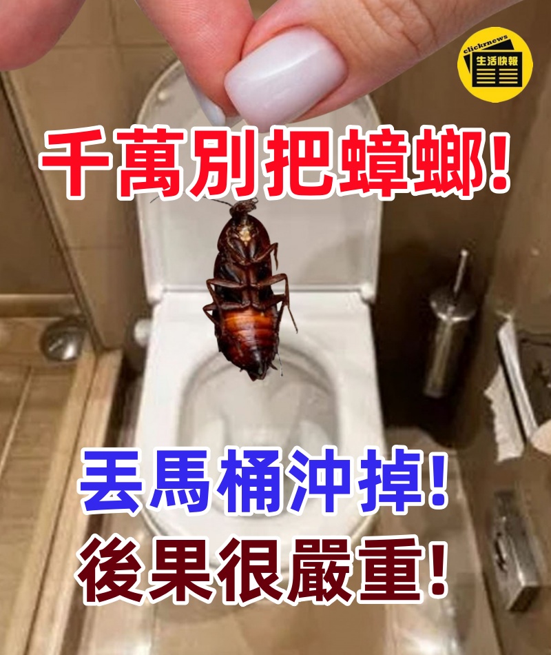 千萬別把蟑螂丟馬桶沖掉！日本專家：後果很嚴重，別不當回事