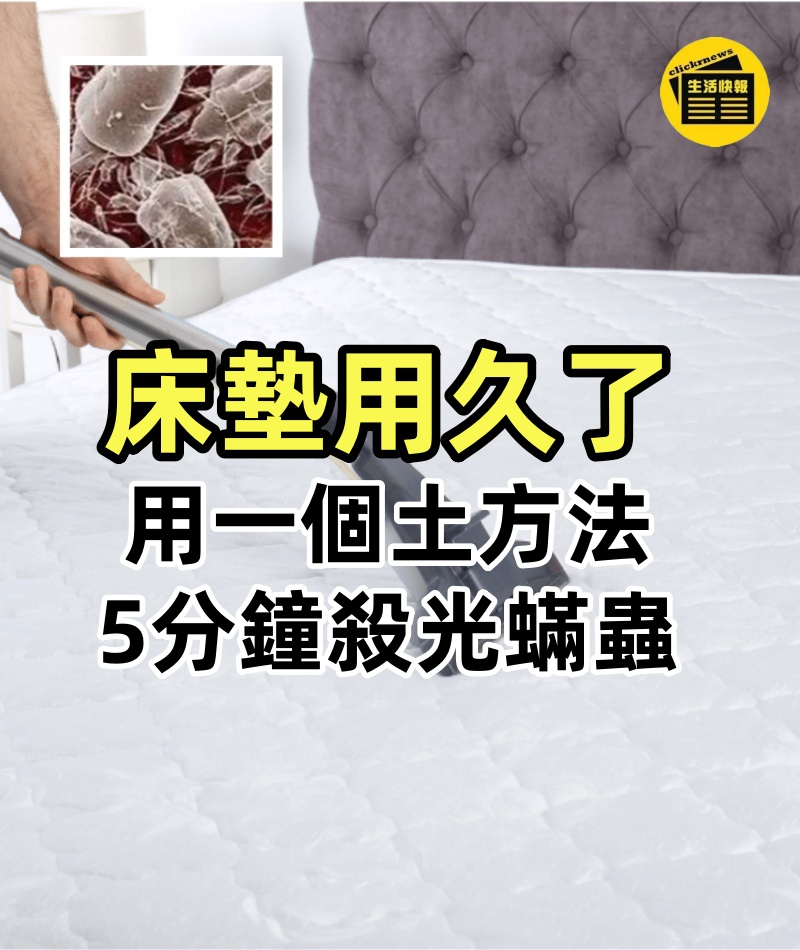 床墊用久了,數百萬隻蟎蟲陪你睡!用一個土方法,5分鐘殺光蟎蟲!不用洗,也不用曬