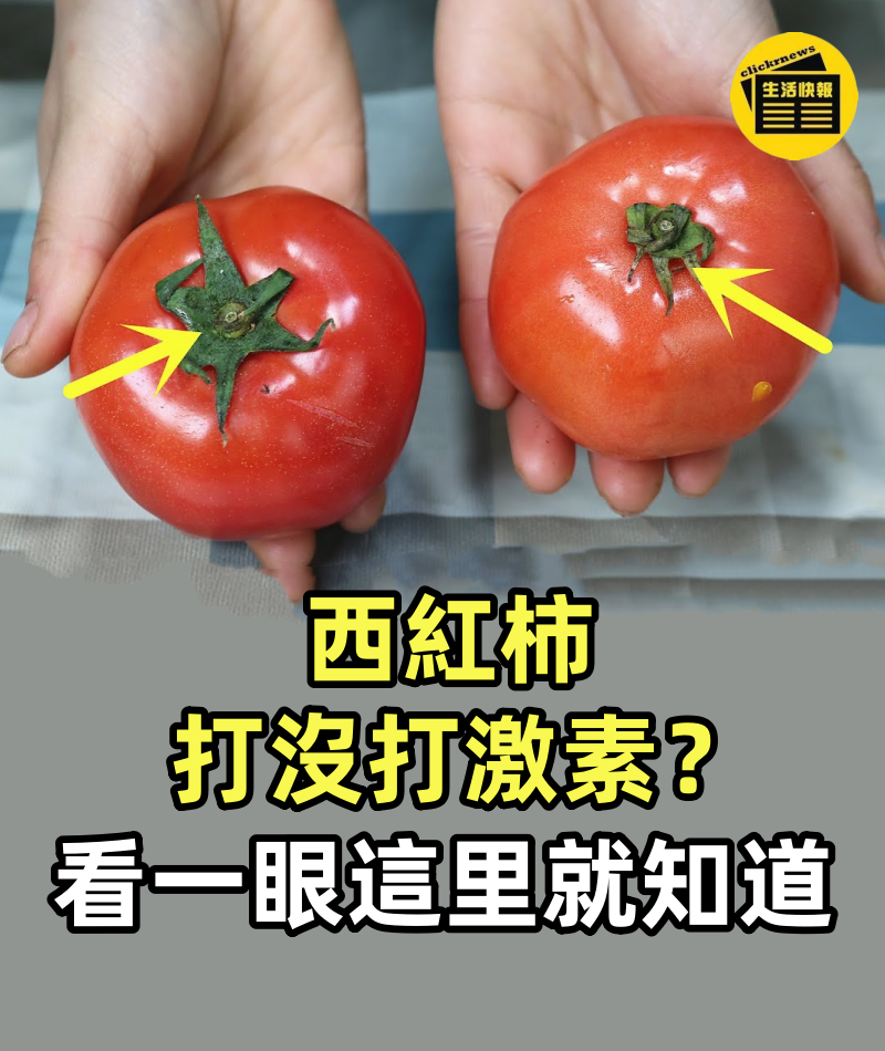 西紅柿打沒打激素?看一眼這里就知道,菜農說漏了嘴,別再買錯了